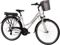 Equipamento elétrico, F.lli Schiano, 36 V, 10.4 Ah, 250 W, com iluminação LED, alumínio, Prateado, para uso diário