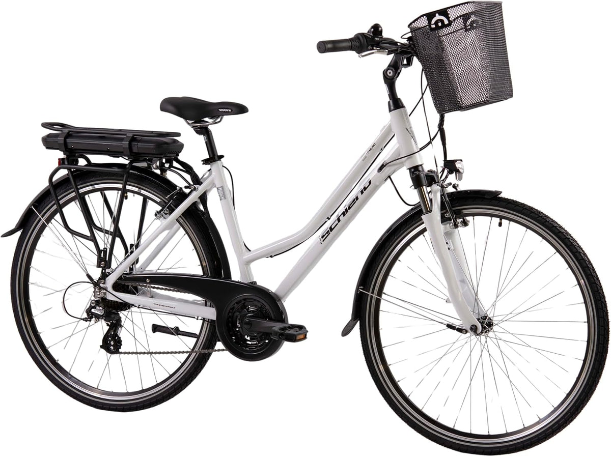 Equipamento elétrico, F.lli Schiano, 36 V, 10.4 Ah, 250 W, com iluminação LED, alumínio, Prateado, para uso diário