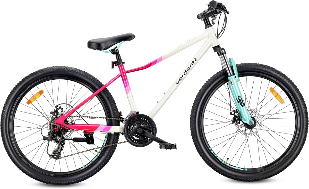 Bicicleta, sun baby, 21 velocidades, 4,0 bar, 80 kg, 16,48 kg, com rodas, aço, alumínio, Prateado, para uso diário