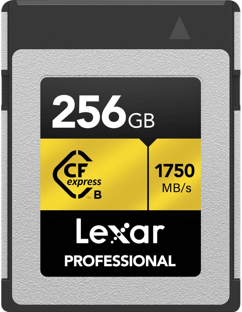 Artigo para casa, Lexar, LCXEXPR256G-RNENG, 0,256 kg, Dourado, para uso diário